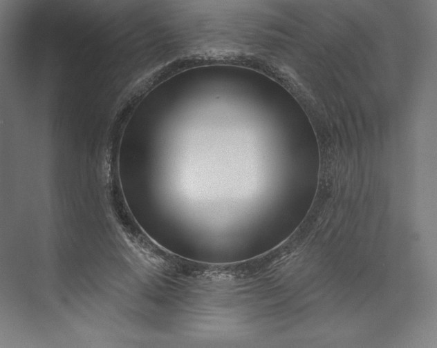 X0000074020640200609061116