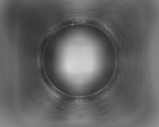 X0000074020641200609061116
