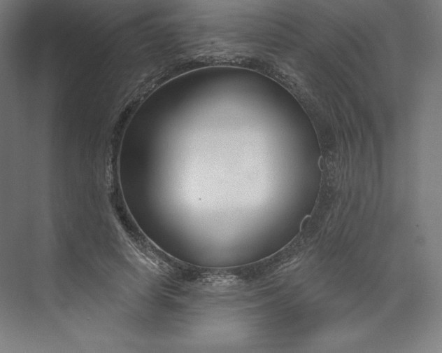 X0000074020642200609061116