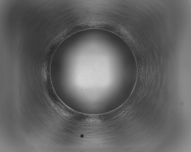 X0000074020644200609061116