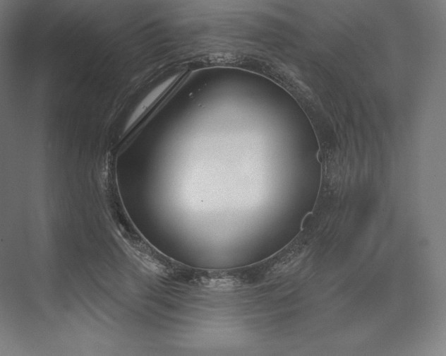X0000074020645200609061117