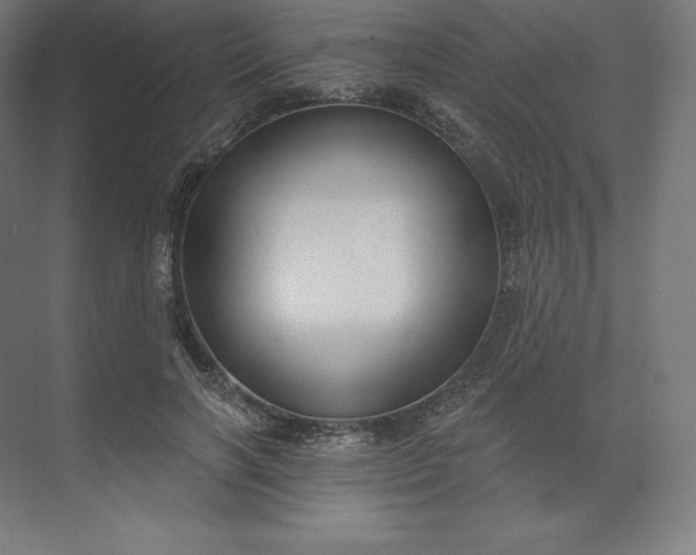 X0000074020646200609061117