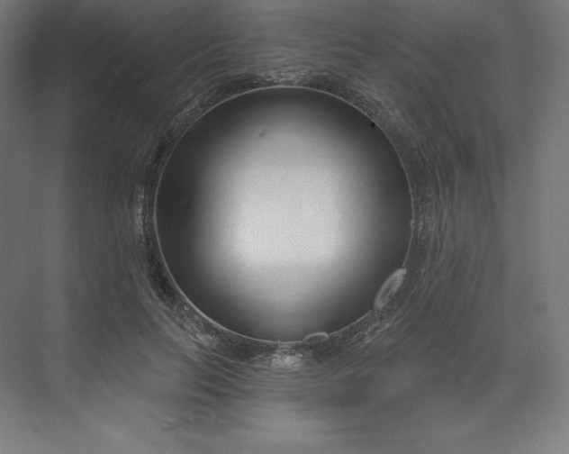 X0000074020647200609061117