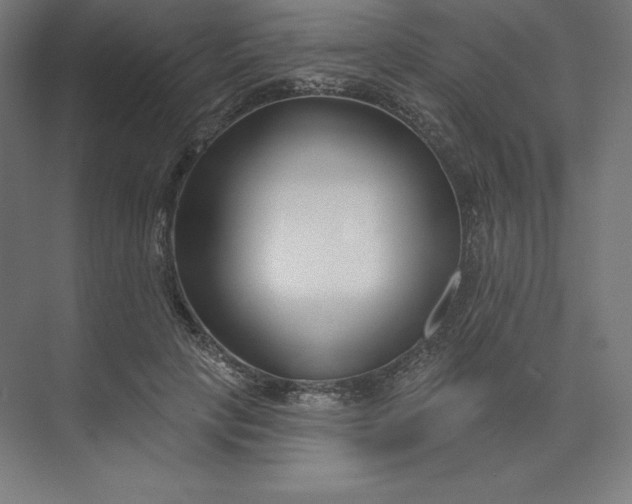 X0000074020649200609061117
