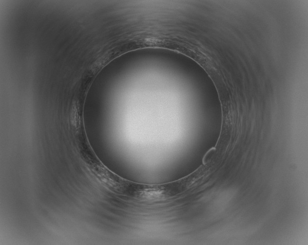 X0000074020651200609061117