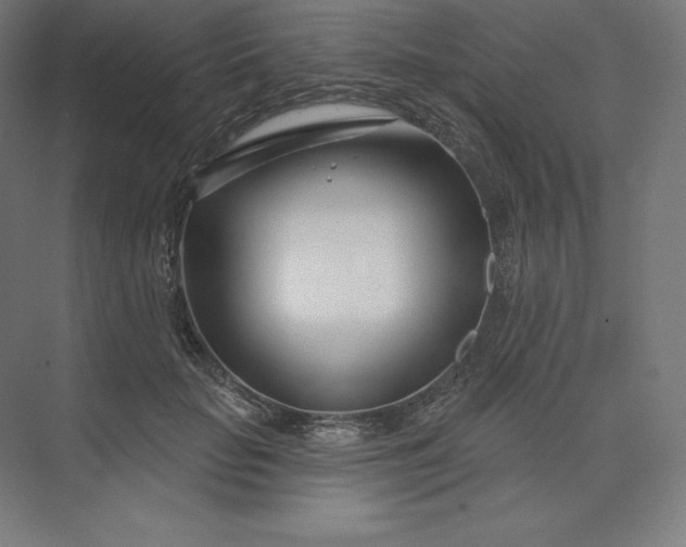 X0000074020653200609061117