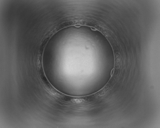X0000074020654200609061117