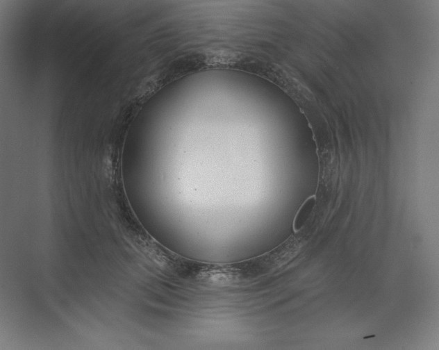 X0000074020655200609061117