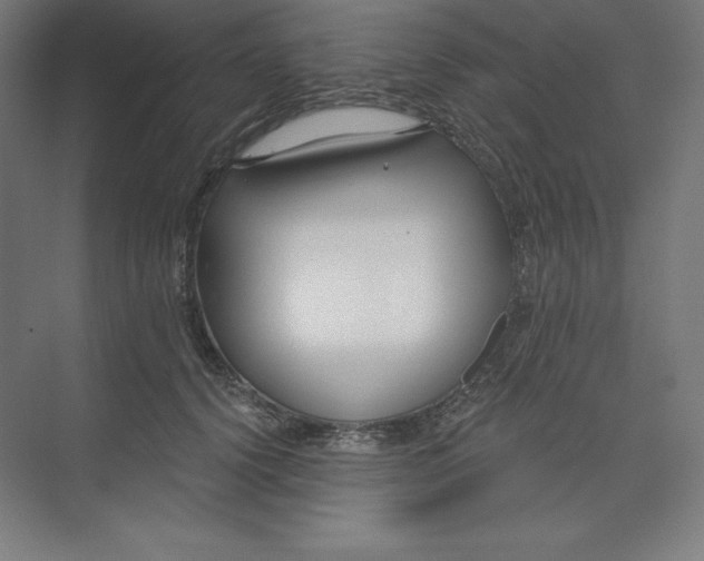 X0000074020656200609061117