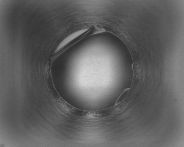 X0000074020657200609061117