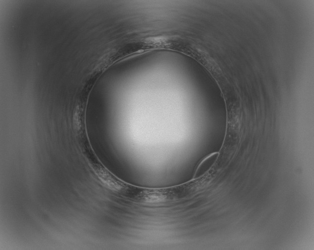 X0000074020658200609061117