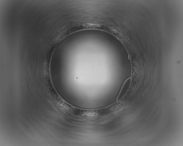 X0000074020659200609061117