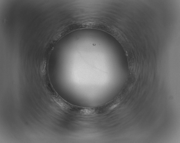 X0000074020660200609061117