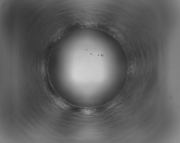 X0000074020662200609061117