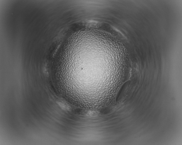 X0000074020663200609061117