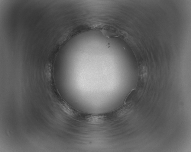 X0000074020664200609061117