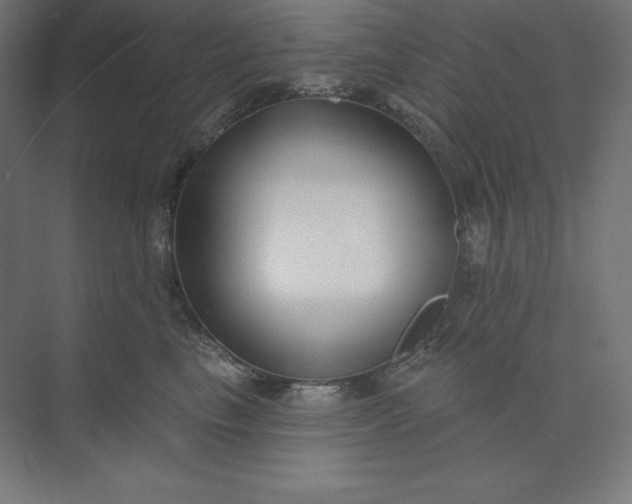 X0000074020665200609061117