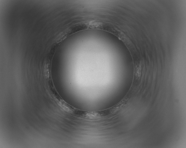 X0000074020666200609061117