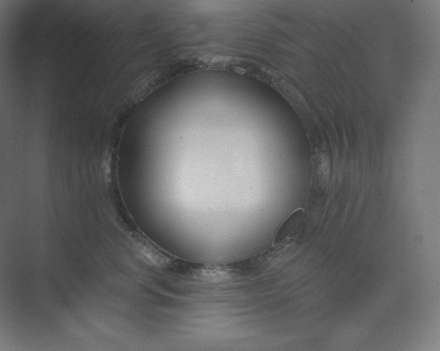 X0000074020668200609061117