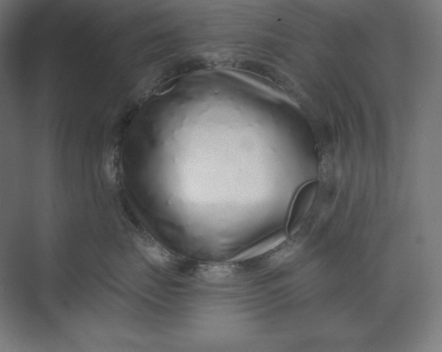 X0000074020671200609061117
