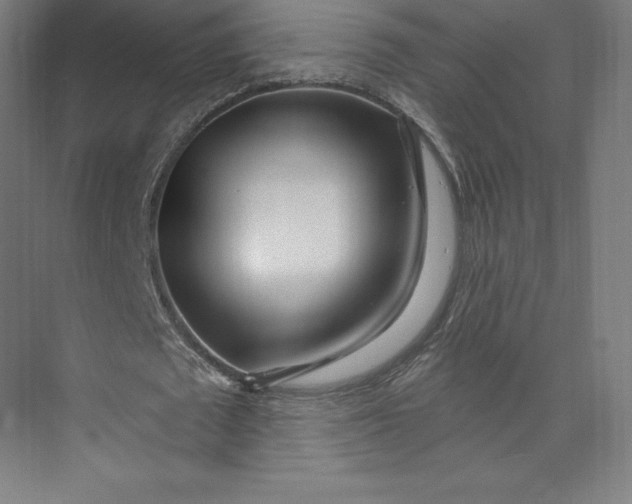 X0000074020673200609061116