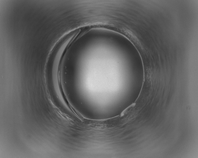 X0000074020676200609061116