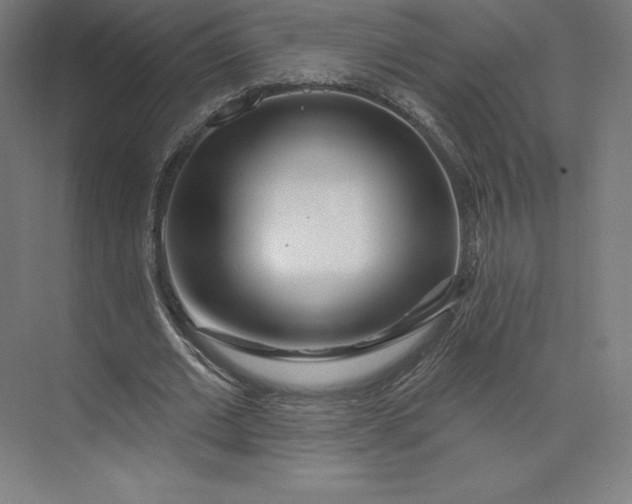 X0000074020677200609061116
