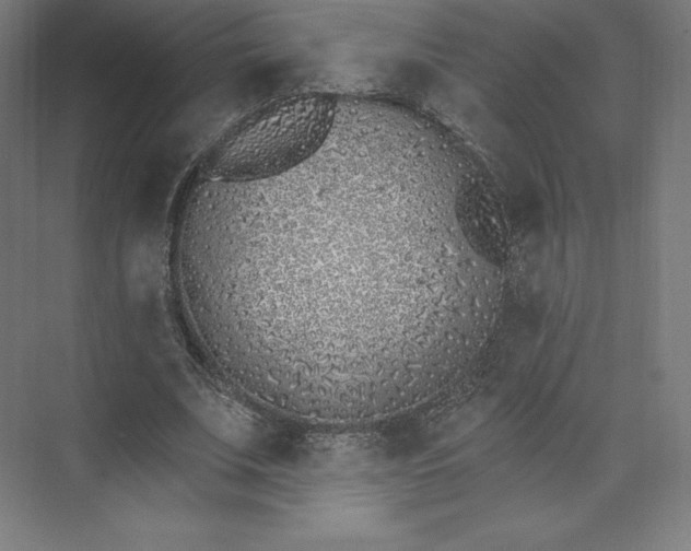 X0000074020679200609061116