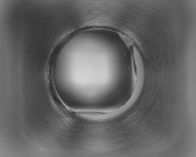 X0000074020680200609061116
