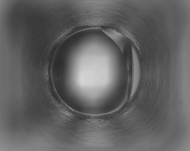 X0000074020681200609061116