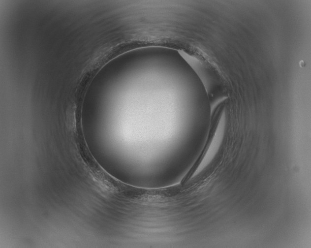 X0000074020685200609061116
