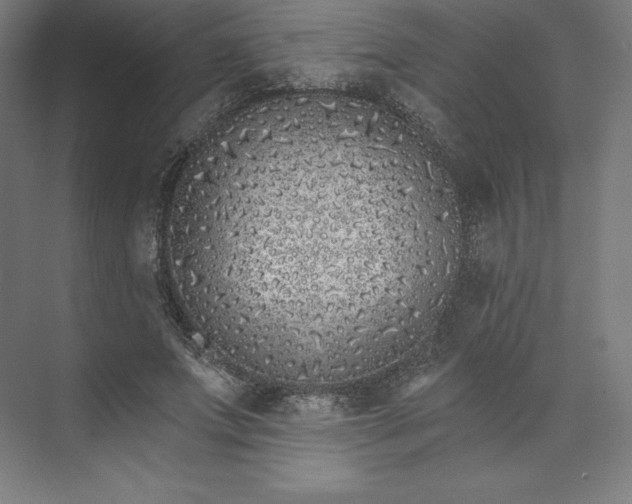 X0000074020687200609061116