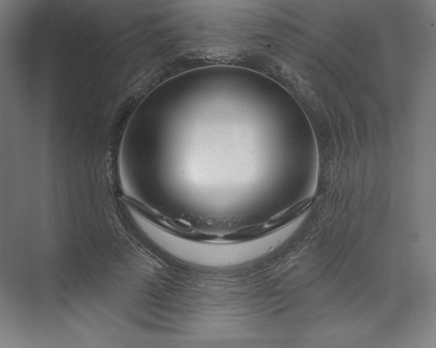 X0000074020689200609061116