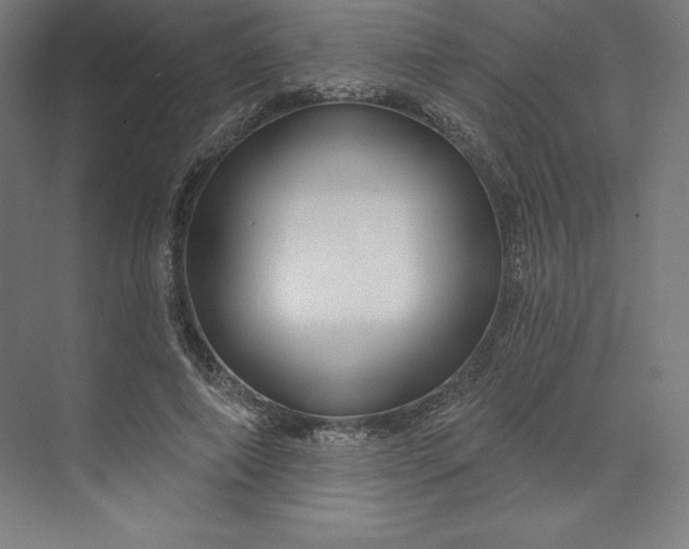 X0000074020690200609061116