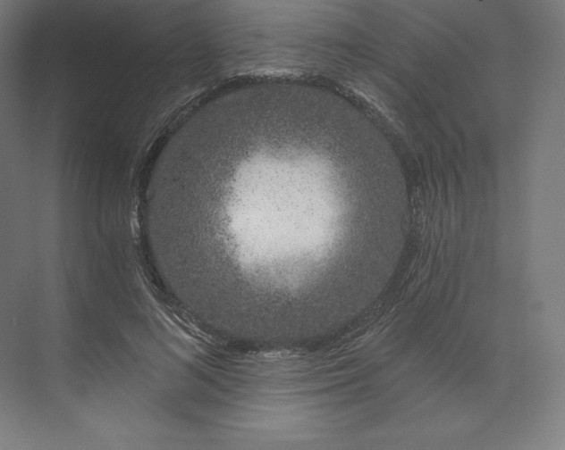 X0000074020692200609061116