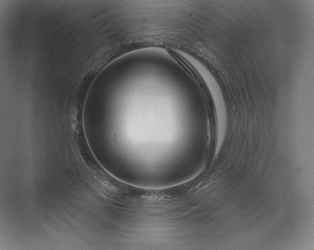 X0000074020693200609061116