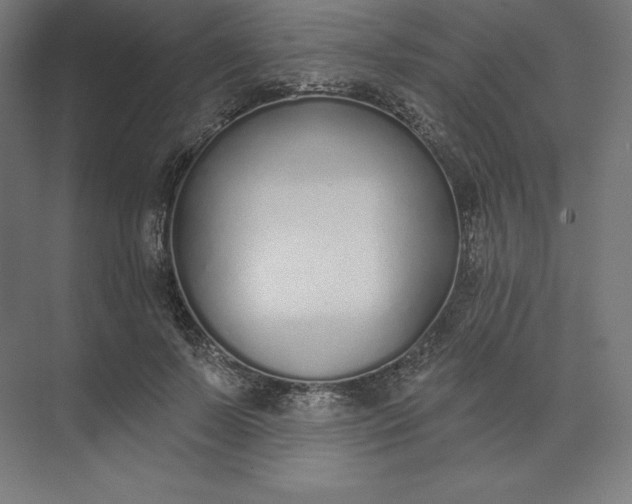 X0000074020695200609061116