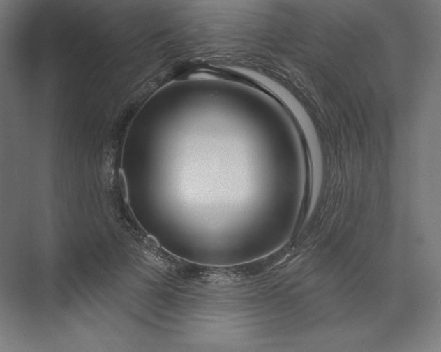 X0000074020697200609061116