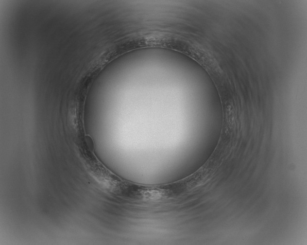 X0000074020698200609061116