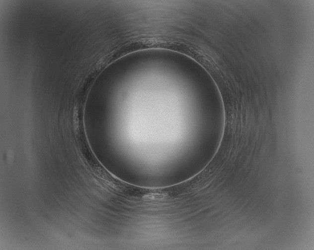 X0000074020700200609061116