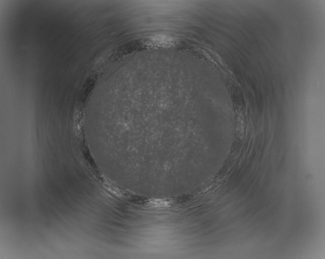 X0000074020701200609061116