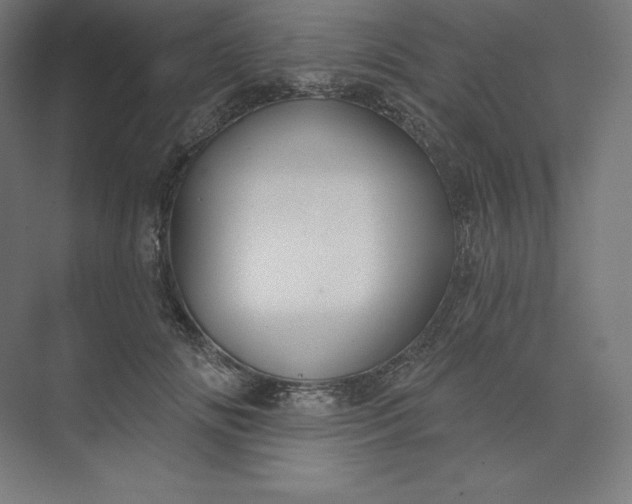 X0000074020702200609061116