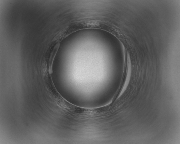 X0000074020704200609061116