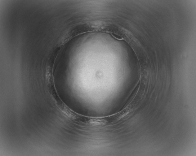 X0000074020707200609061116