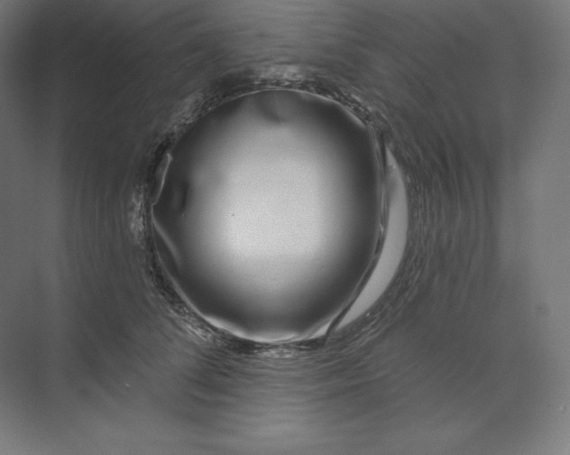 X0000074020708200609061116