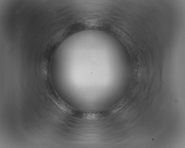 X0000074020710200609061116