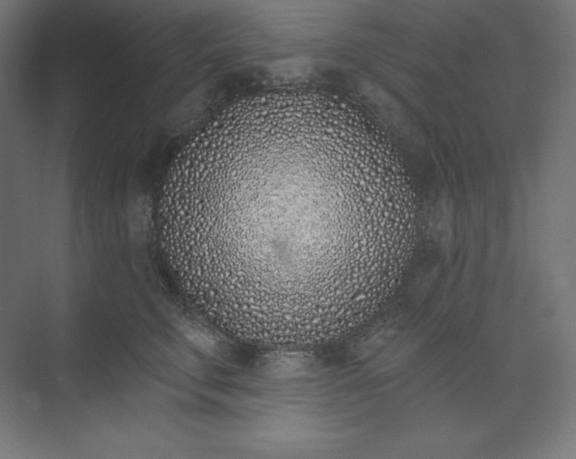 X0000074020711200609061115