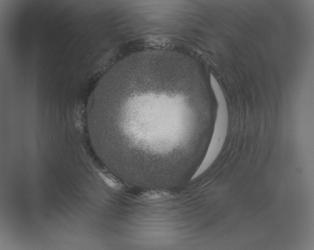 X0000074020712200609061115