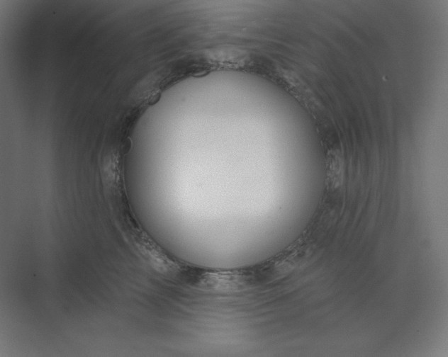 X0000074020713200609061115