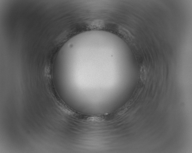X0000074020714200609061115